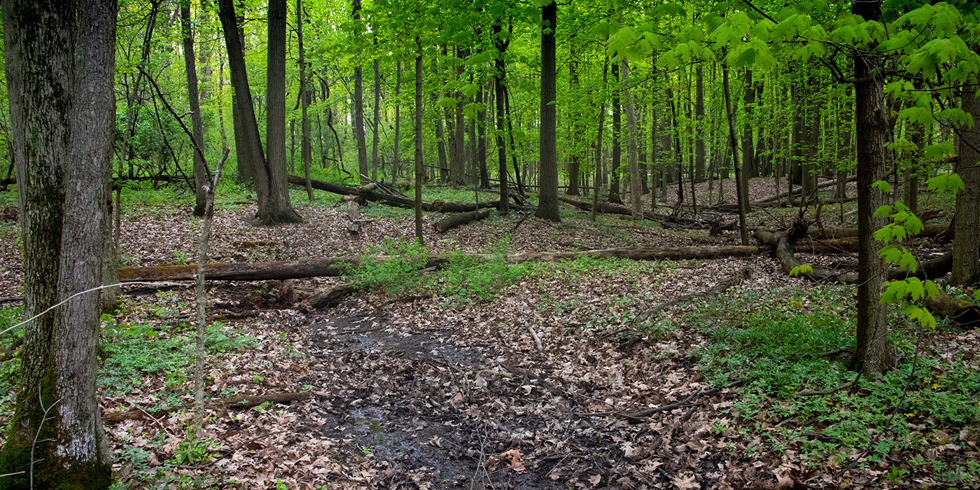About Us | Fallen Timbers Battlefield Preservation Commission